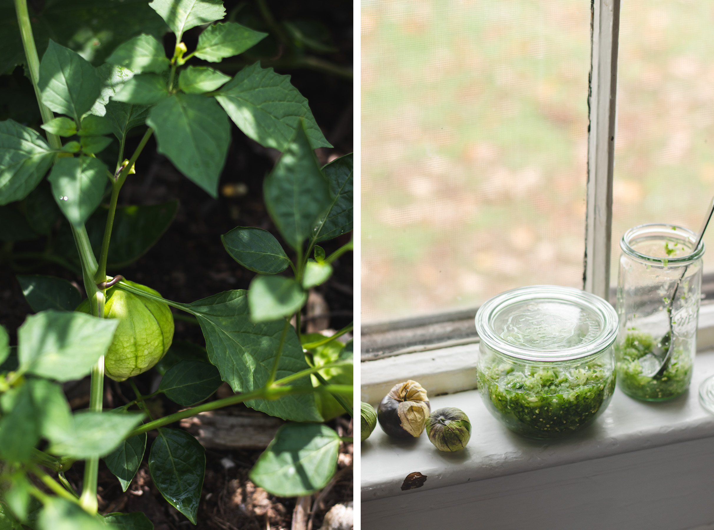 Pork Carnitas Nachos with Tomatillo Salsa Verde The Maker Makes